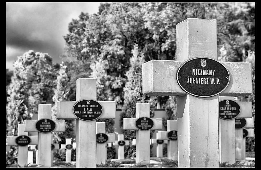 Cemetery of the Defenders of Lviv